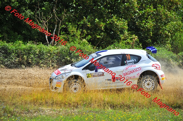 DSC_7772.JPG